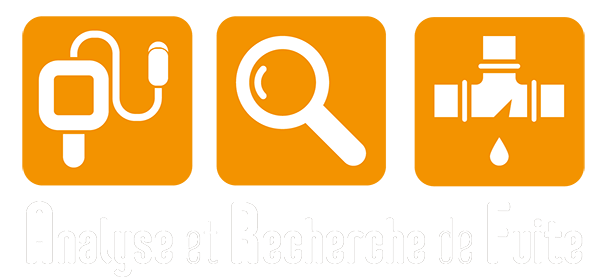 Logo Analyse Recherche Fuite